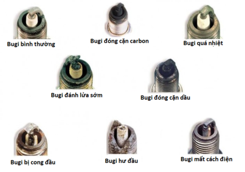 bugi danh lua